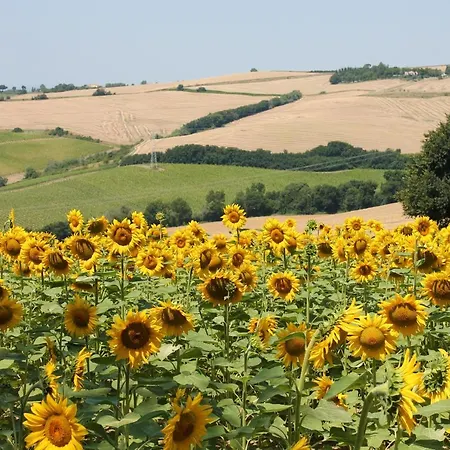 Casa Renili Farm stay *